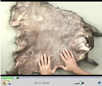 Tanning A Deer Hide At Home